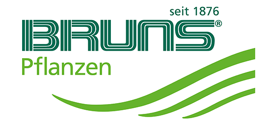 Bruns Pflanzen
